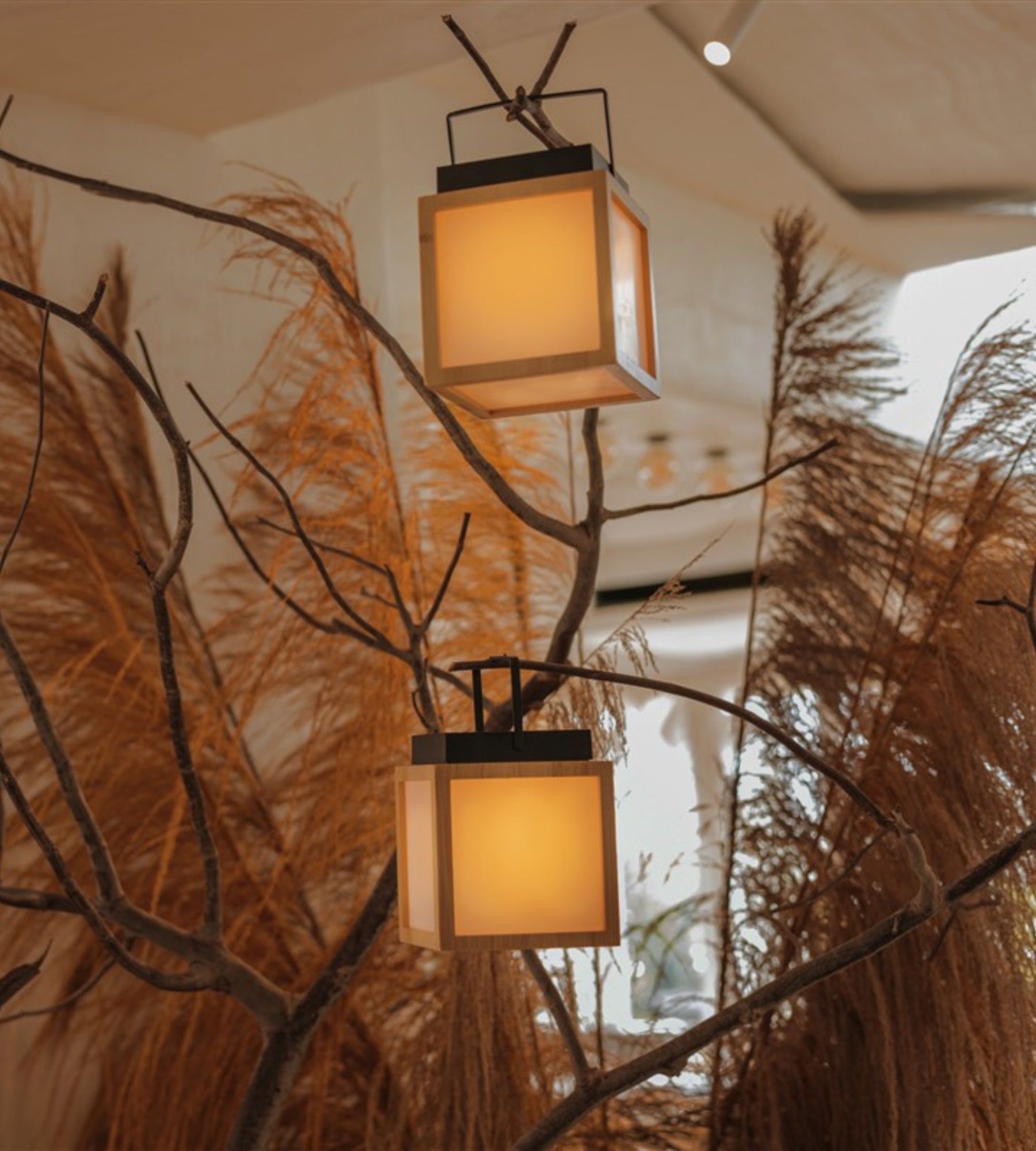 Lanterne portable sans fil VEGA - Format cube - Rechargeable via USB et solaire