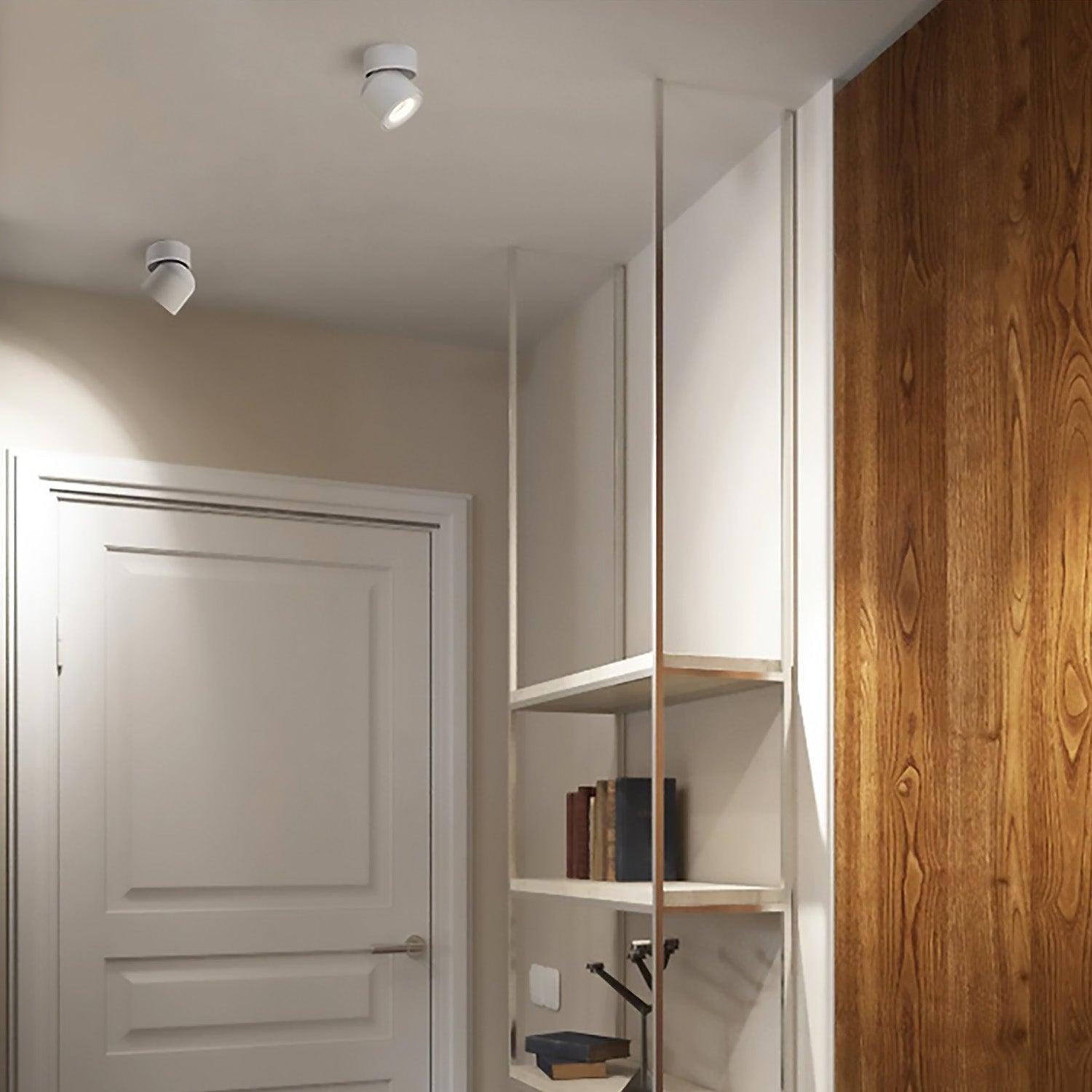 Spot | ALYA - Modilu