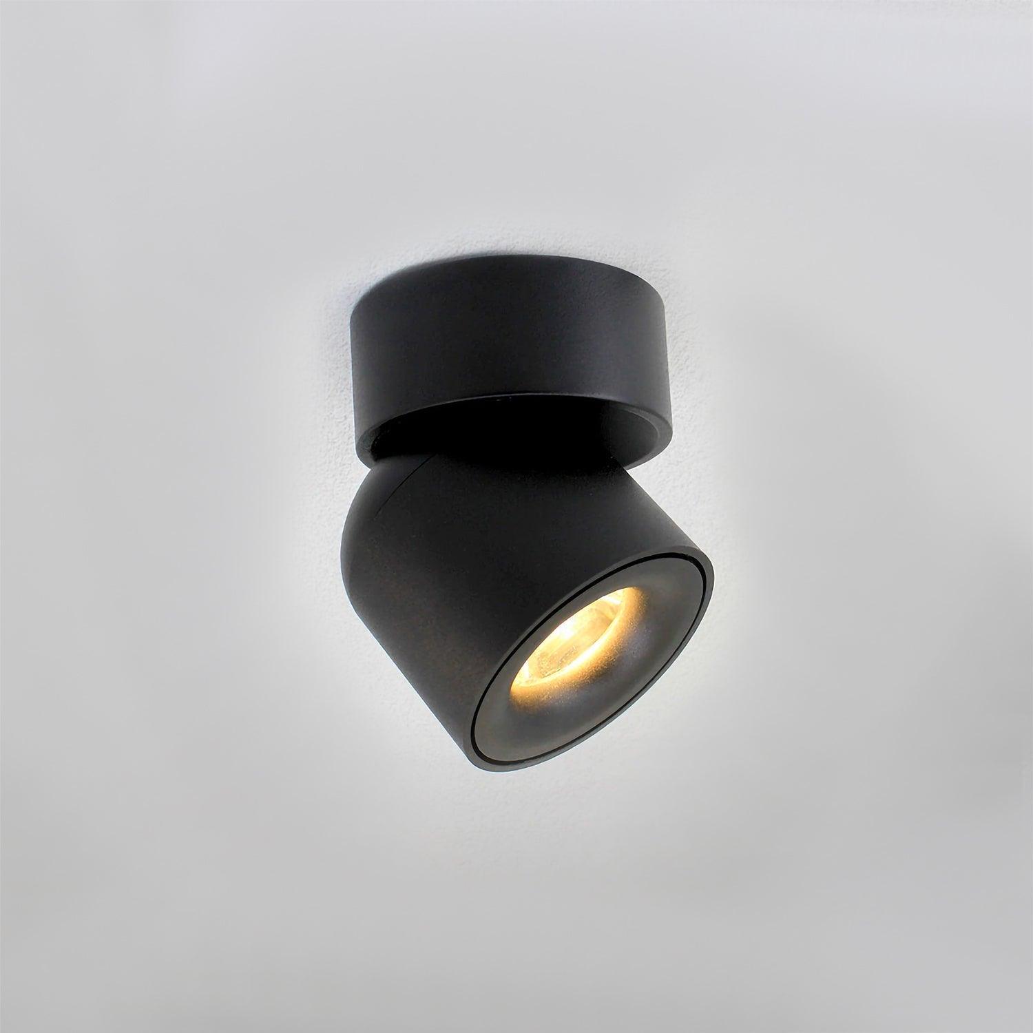 Spot | ALYA - Modilu