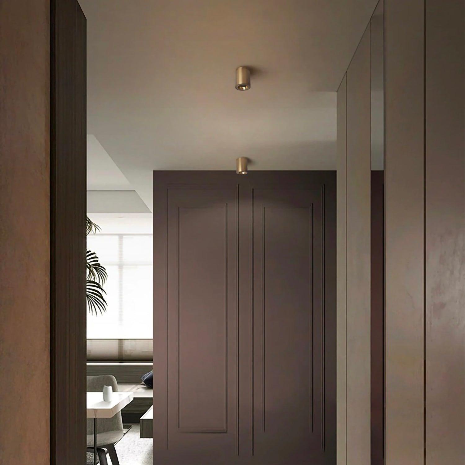 Spot | KINOSURA - Modilu