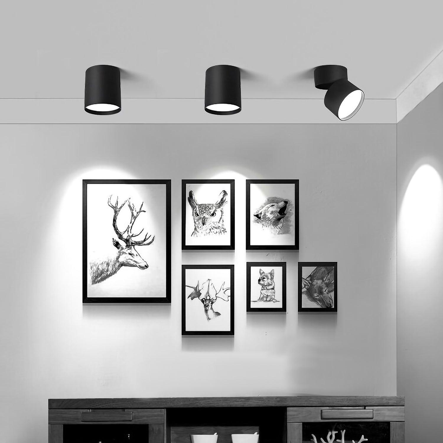 Spot | MIFRID - Modilu