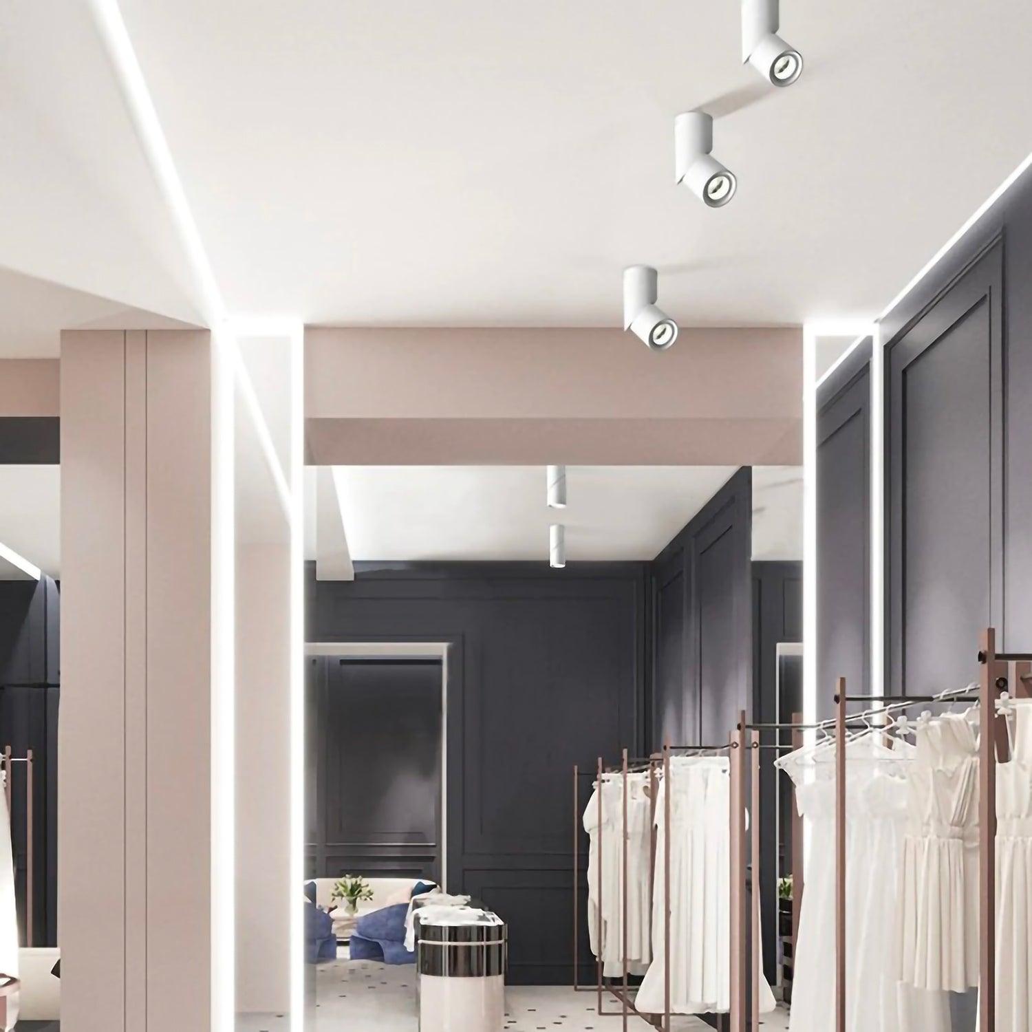 Spot | MUSCIDA - Modilu