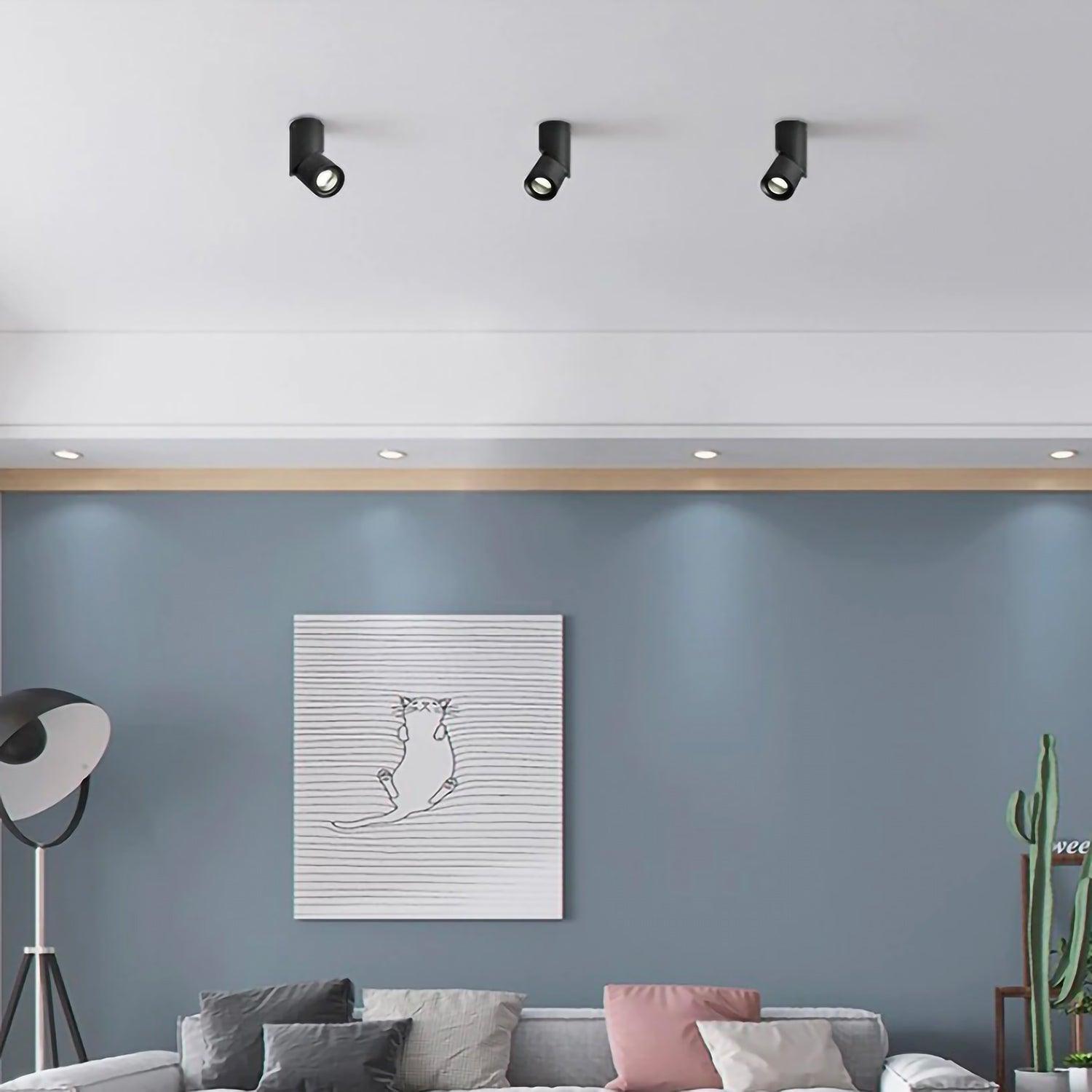 Spot | MUSCIDA - Modilu