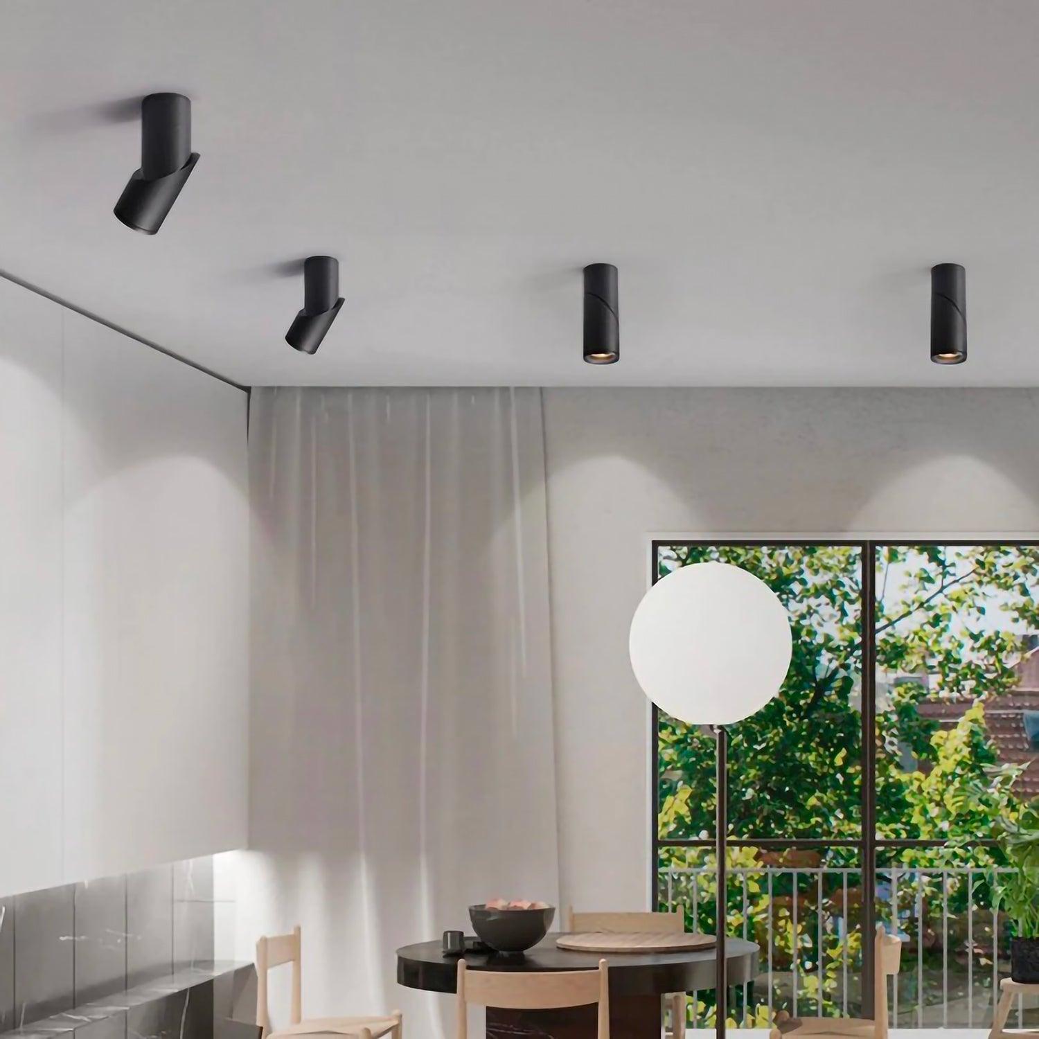 Spot | MUSCIDA - Modilu