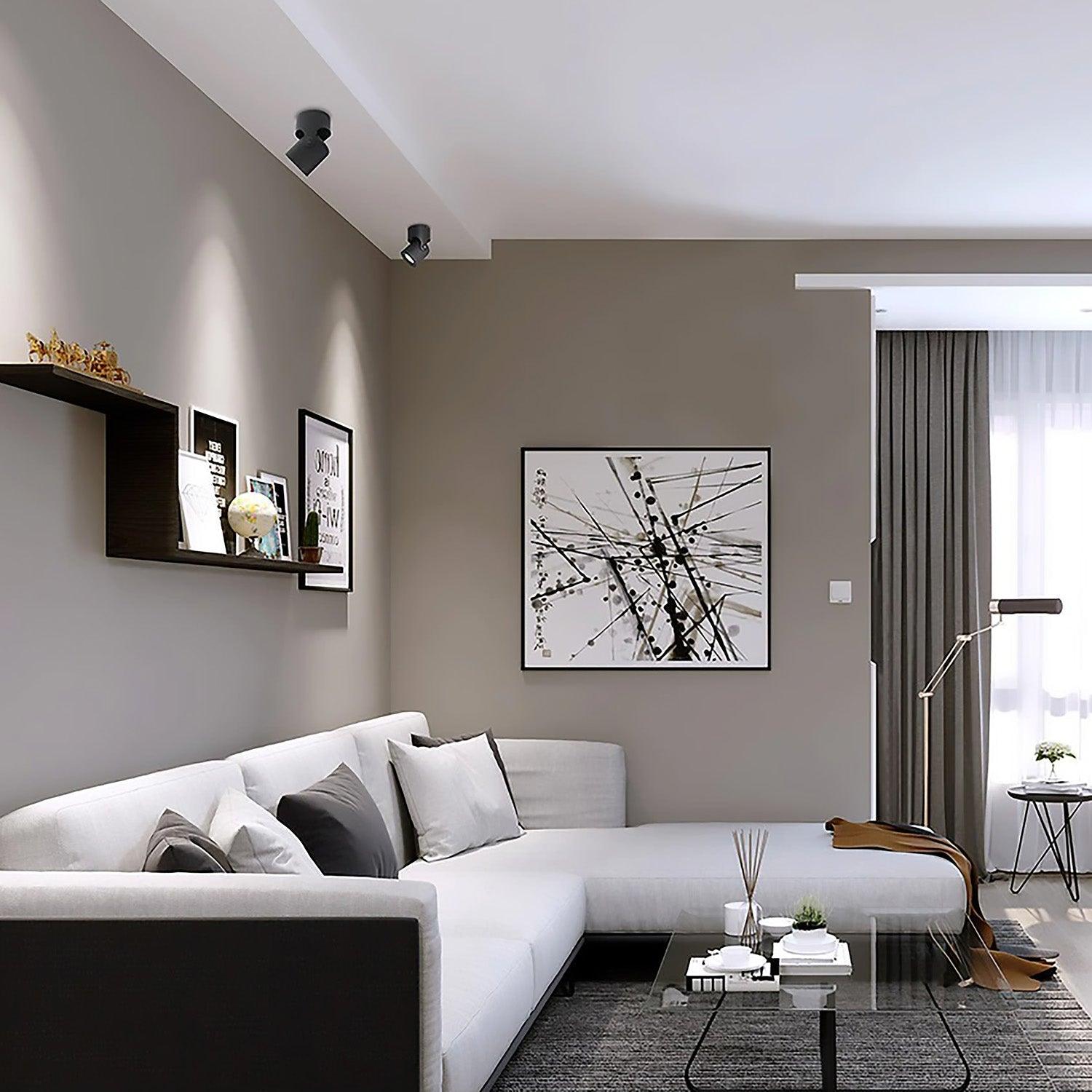 Spot | OLGÉDI - Modilu