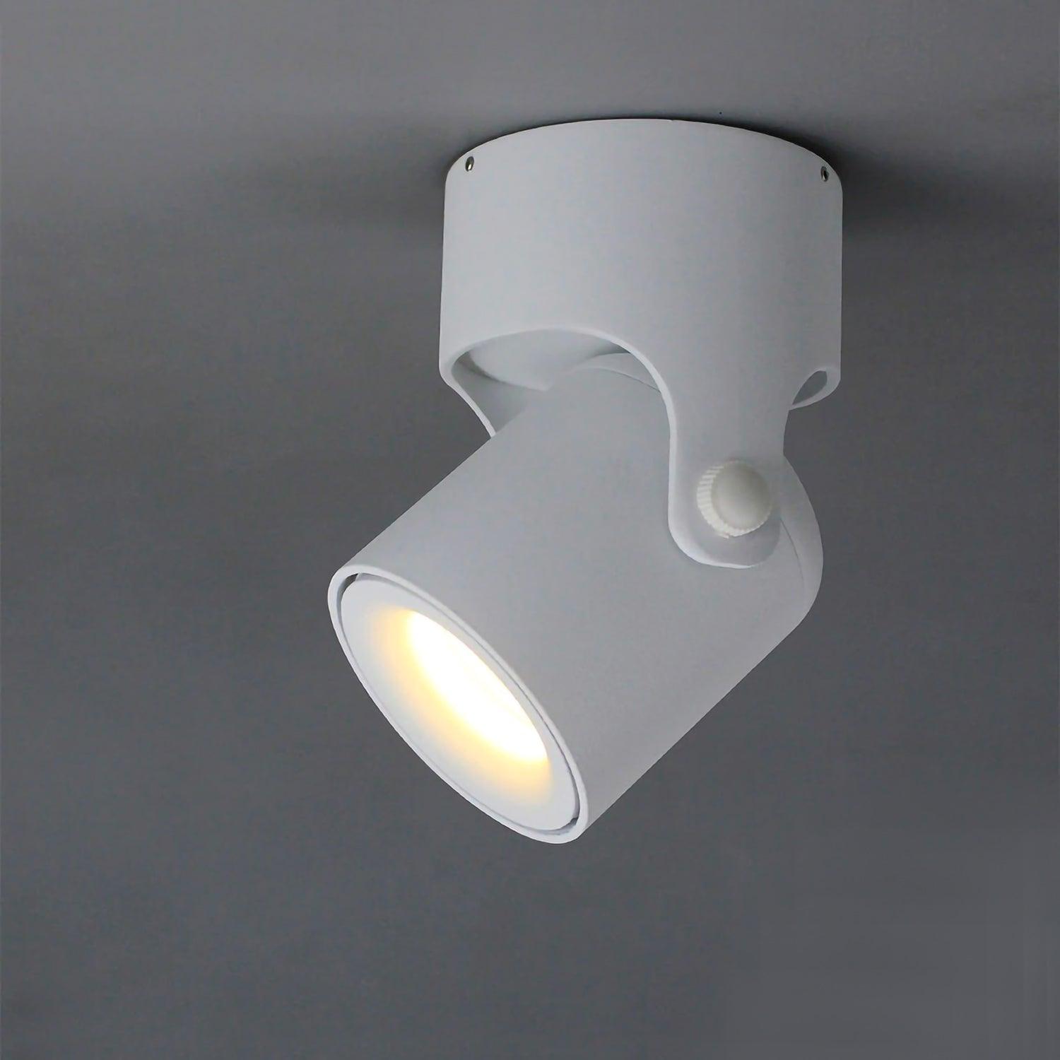 Spot | OLGÉDI - Modilu